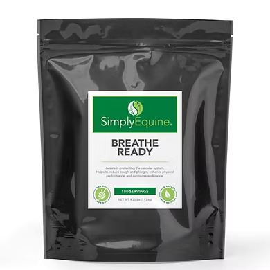 Breathe Ready