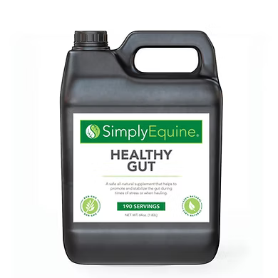Healthy Gut