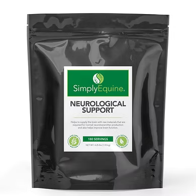 Neurological Support